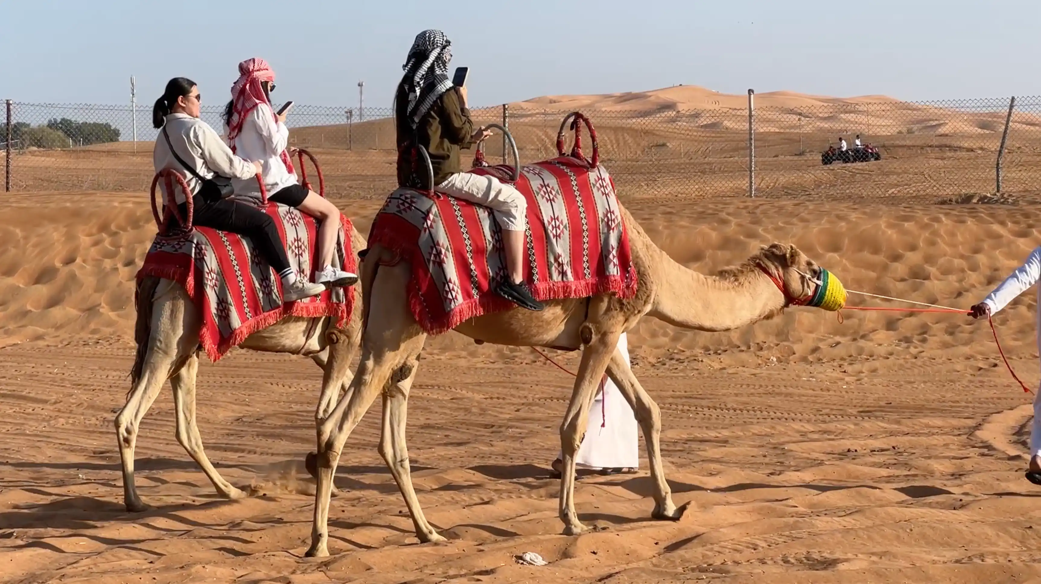 Camel Trekking